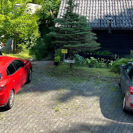 Alte Muehle - Tamara *